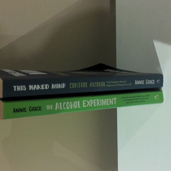 The Naked Mind by Annie Grace (lot of 2) - Picture 5 of 5